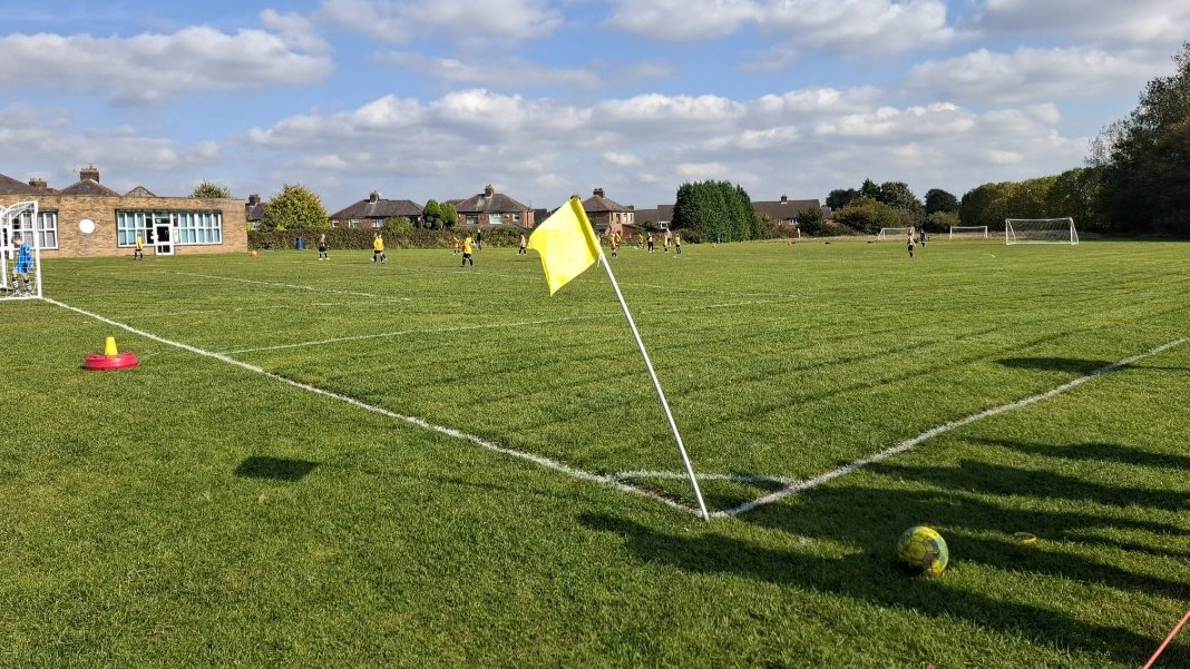 Picture of the home pitch